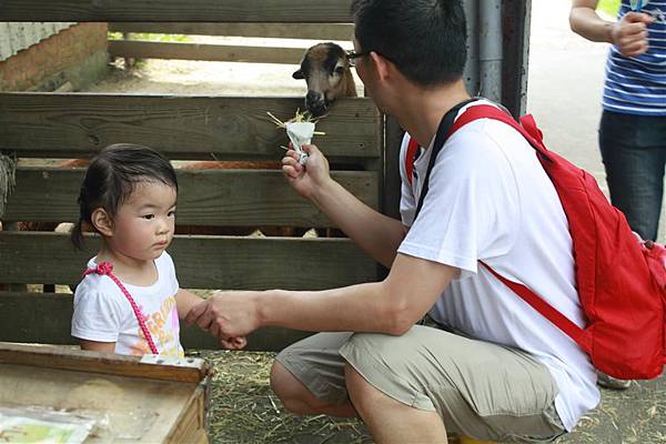 IMG_9444.JPG IMG_9444.JPG