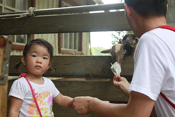 IMG_9449.JPG IMG_9449.JPG