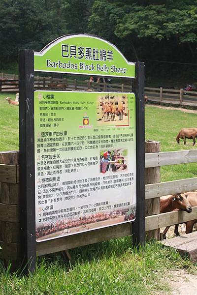 IMG_9452.JPG IMG_9452.JPG