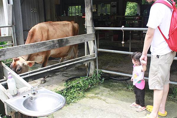 IMG_9455.JPG IMG_9455.JPG