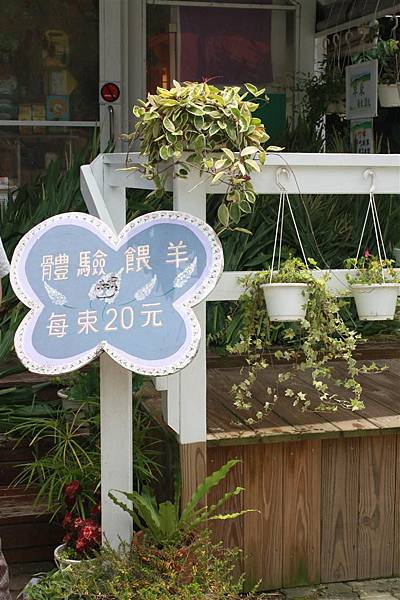 IMG_9456.JPG IMG_9456.JPG