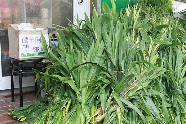 IMG_9457.JPG IMG_9457.JPG