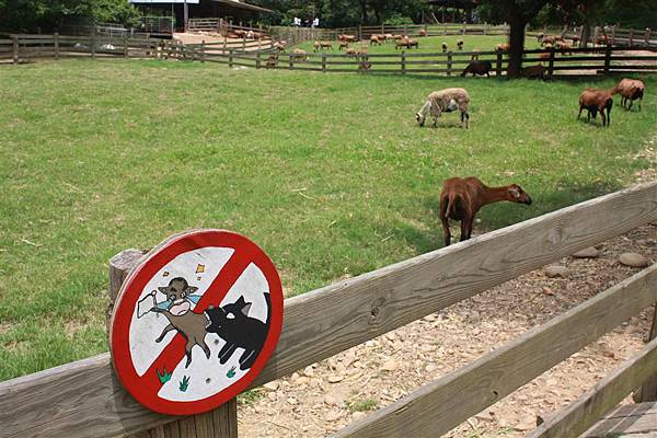 IMG_9462.JPG IMG_9462.JPG