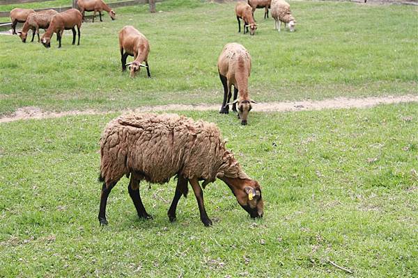 IMG_9464.JPG IMG_9464.JPG