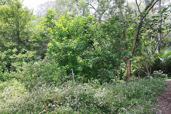 IMG_9470.JPG IMG_9470.JPG