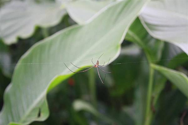 IMG_9478.JPG IMG_9478.JPG