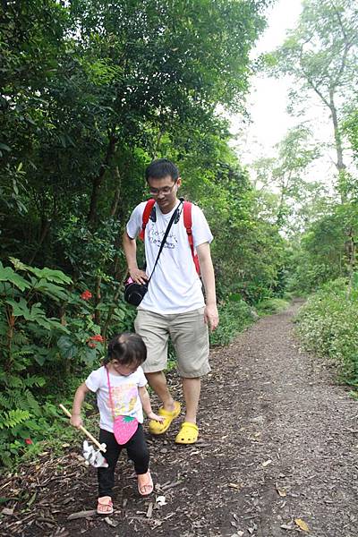 IMG_9479.JPG IMG_9479.JPG