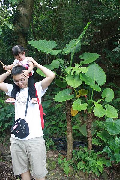 IMG_9481.JPG IMG_9481.JPG