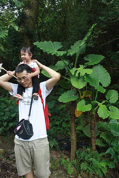 IMG_9482.JPG IMG_9482.JPG