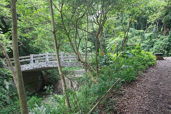 IMG_9484.JPG IMG_9484.JPG