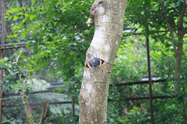 IMG_9488.JPG IMG_9488.JPG