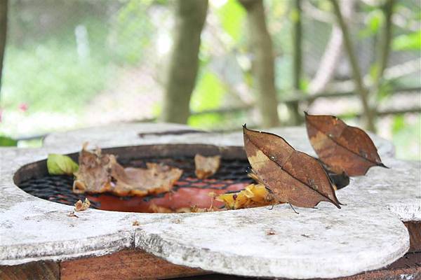 IMG_9494.JPG IMG_9494.JPG