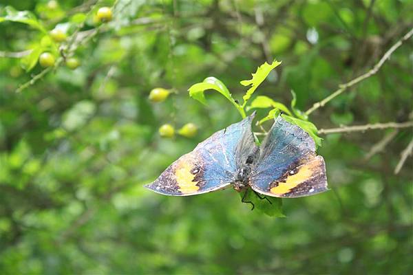 IMG_9495.JPG IMG_9495.JPG