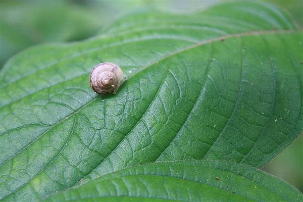 IMG_9496.JPG IMG_9496.JPG