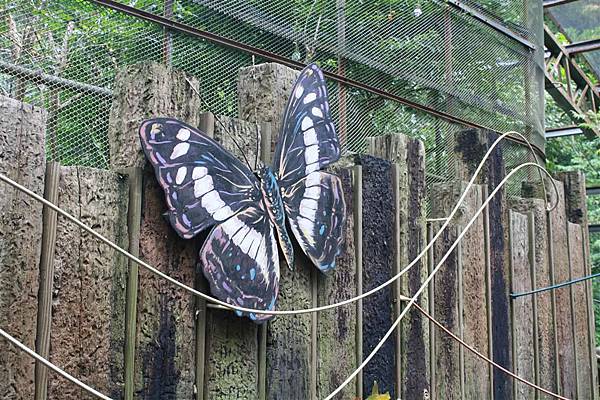 IMG_9499.JPG IMG_9499.JPG