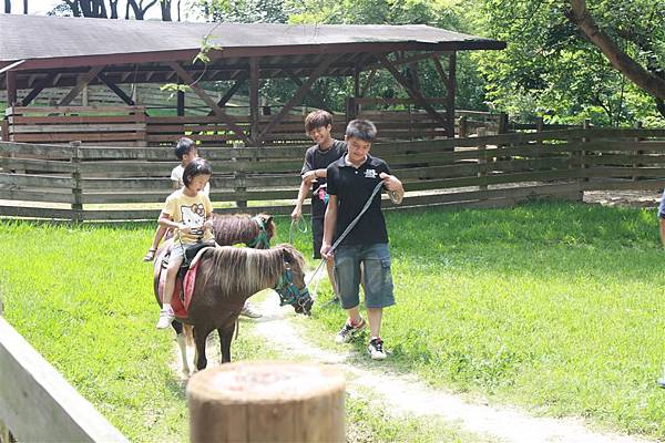 IMG_9501.JPG IMG_9501.JPG