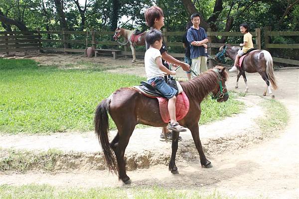 IMG_9502.JPG IMG_9502.JPG