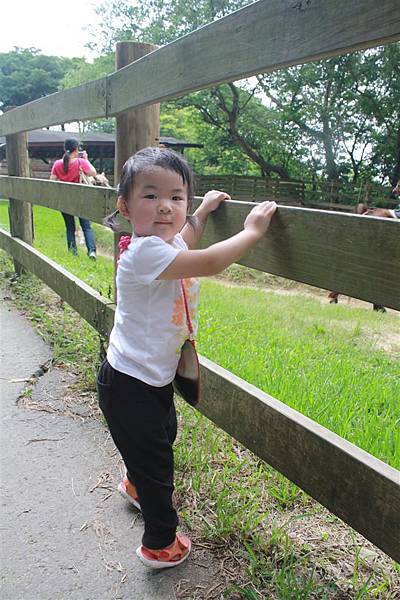 IMG_9503.JPG IMG_9503.JPG