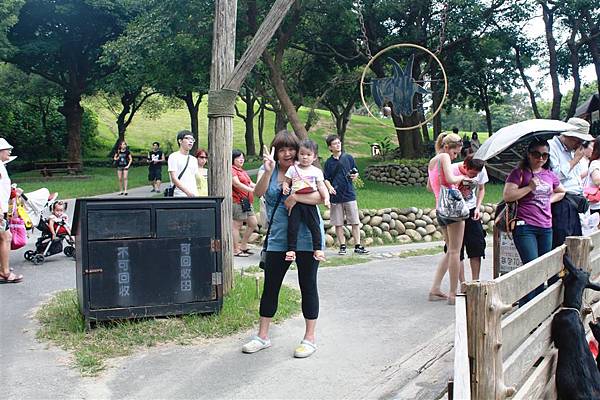 IMG_9504.JPG IMG_9504.JPG