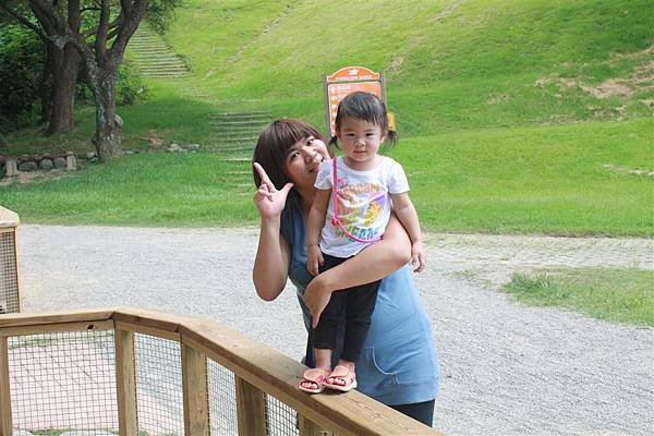 IMG_9513.JPG IMG_9513.JPG