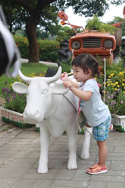 IMG_9530.JPG IMG_9530.JPG