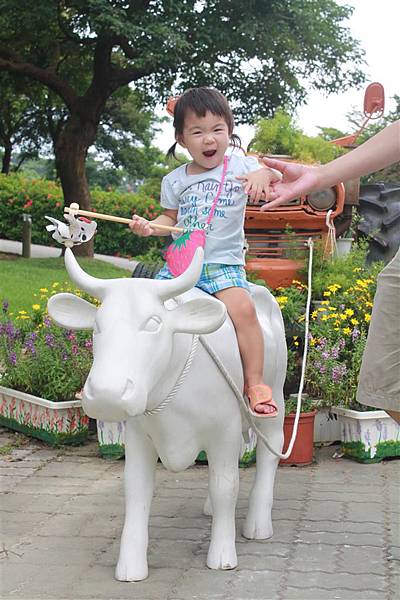 IMG_9534.JPG IMG_9534.JPG