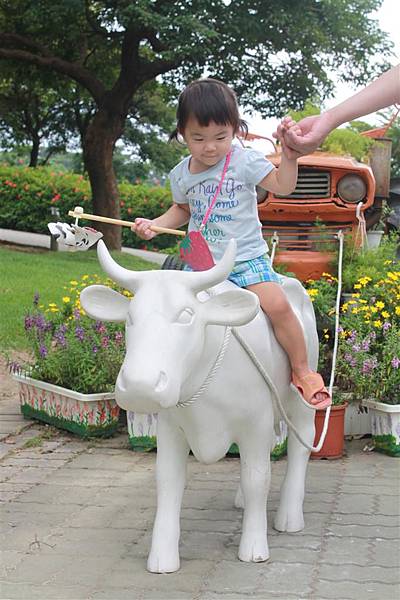 IMG_9537.JPG IMG_9537.JPG