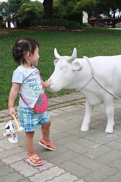 IMG_9539.JPG IMG_9539.JPG