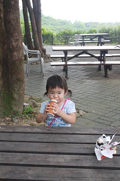 IMG_9541.JPG IMG_9541.JPG