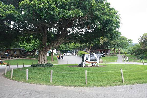 IMG_9548.JPG IMG_9548.JPG