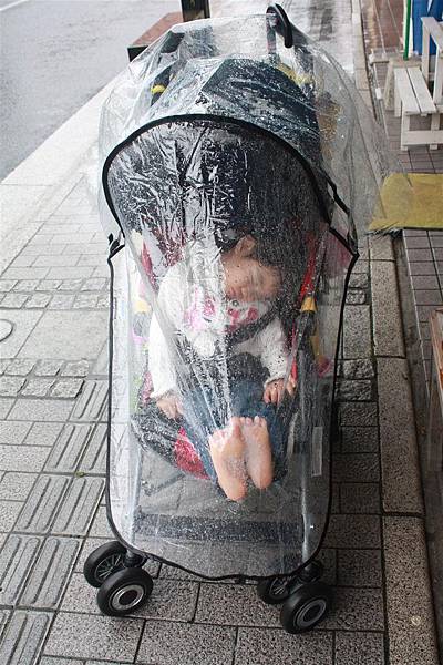 IMG_1098.JPG IMG_1098.JPG