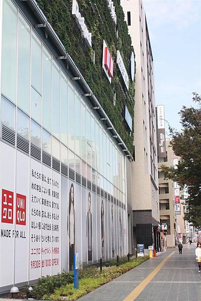 IMG_1217.JPG IMG_1217.JPG