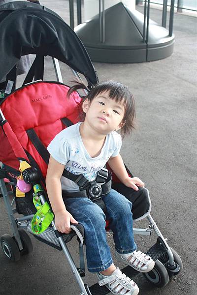 IMG_1242.JPG IMG_1242.JPG