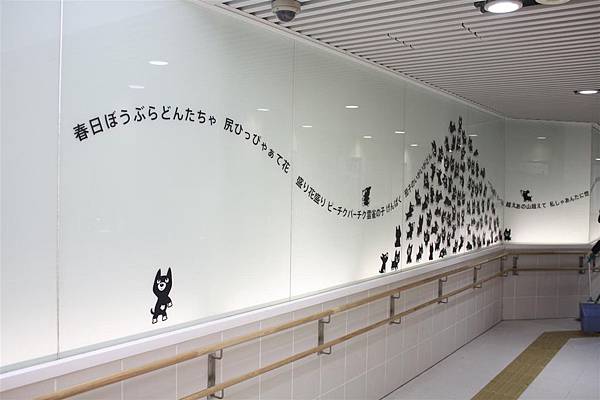 IMG_1249.JPG IMG_1249.JPG