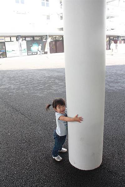 IMG_1254.JPG IMG_1254.JPG