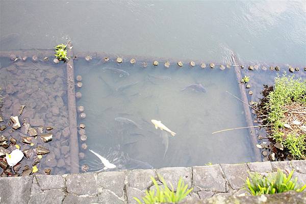 IMG_1264.JPG IMG_1264.JPG