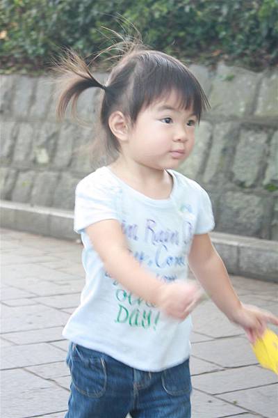 IMG_1305.JPG IMG_1305.JPG