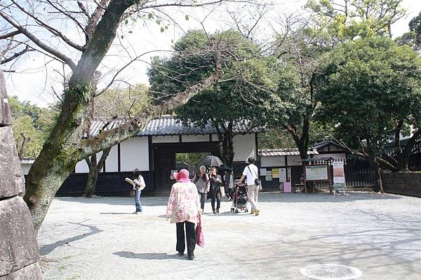 IMG_1318.JPG IMG_1318.JPG