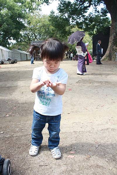 IMG_1328.JPG IMG_1328.JPG