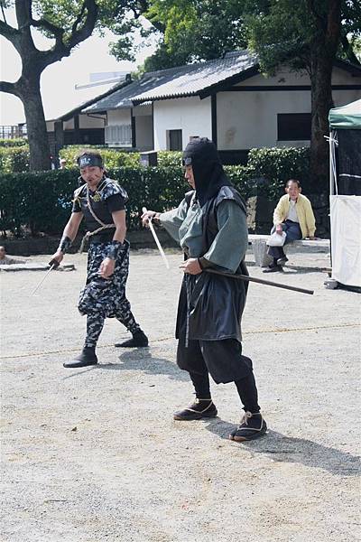 IMG_1351.JPG IMG_1351.JPG