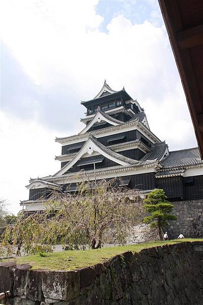 IMG_1373.JPG IMG_1373.JPG