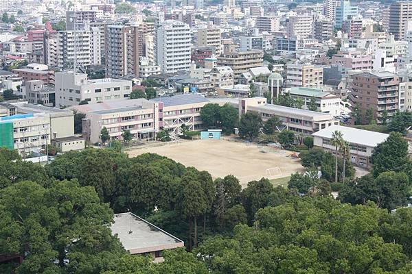 IMG_1384.JPG IMG_1384.JPG