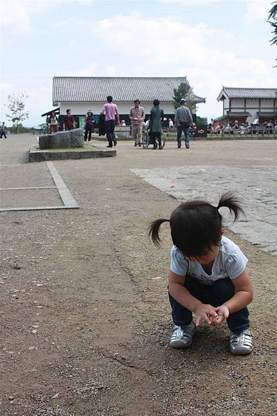 IMG_1387.JPG IMG_1387.JPG