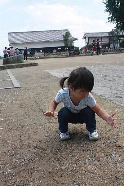 IMG_1388.JPG IMG_1388.JPG