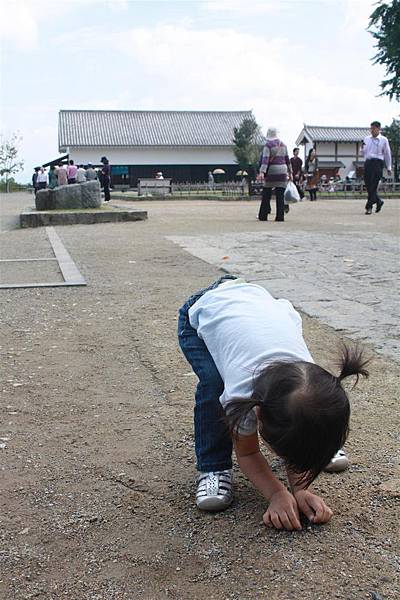 IMG_1389.JPG IMG_1389.JPG