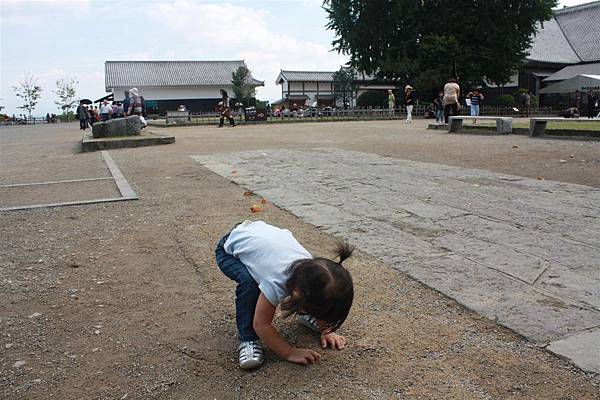 IMG_1390.JPG IMG_1390.JPG