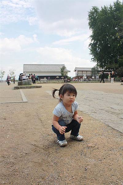 IMG_1391.JPG IMG_1391.JPG