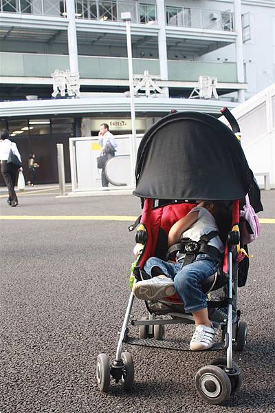 IMG_1453.JPG IMG_1453.JPG