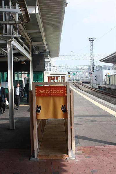 IMG_1553.JPG IMG_1553.JPG