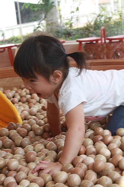 IMG_1699.JPG IMG_1699.JPG